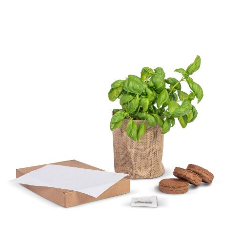 Grow kit by mail - Image 1
